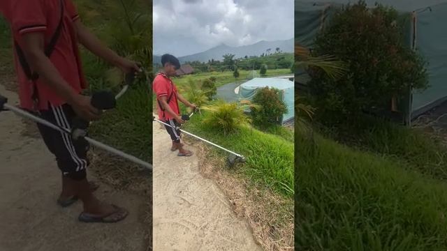 Makita Cordless Grass Trimmer LXT 18V смотреть онлайн