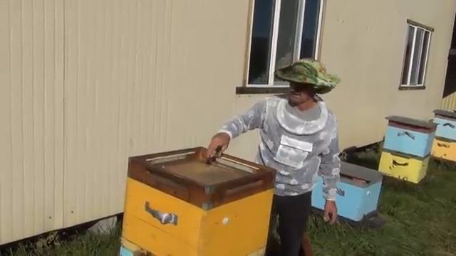 500+ Факторы влияющие на качество зимовки. смотреть онлайн