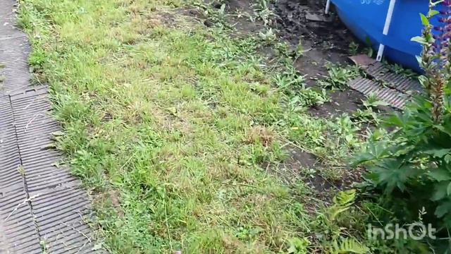 Выходной на даче/Появились огурчики/Сломал розы и обиделся/Площадка для машины/Удобное кресло/Ужин. смотреть онлайн