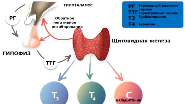 Про #Селен в СеллГард #Полезное #Ингреди смотреть онлайн
