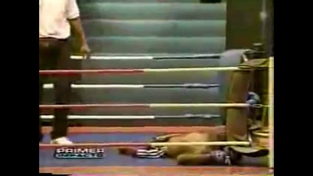 Смотрю бой обезьян смотреть онлайн