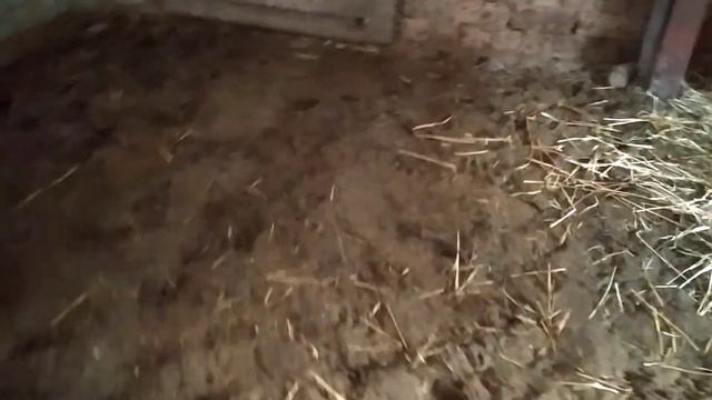 7 марта 2022 г. смотреть онлайн