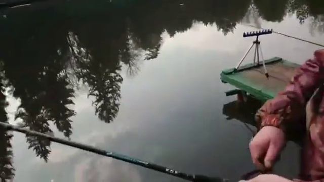 Голицыно Fish смотреть онлайн