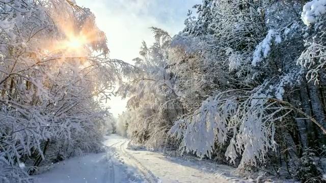 #творчество #хобби #Nina_Mircheva ФУТАЖ ЗИМА СНЕГ ЛЕС смотреть онлайн