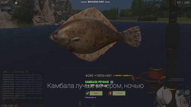 ?Кефаль Сингиль и Камбала Речная?Италия, р. По? смотреть онлайн