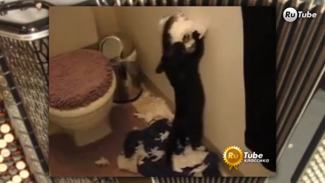 Подборка лучших баянов смотреть онлайн