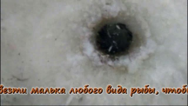 ПРО РЫБАЛКУ. смотреть онлайн