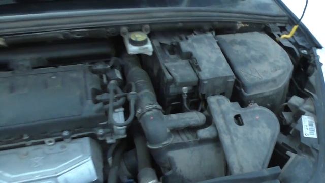 Тест драйв Пежо 308 - Лев на приеме у стоматолога смотреть онлайн