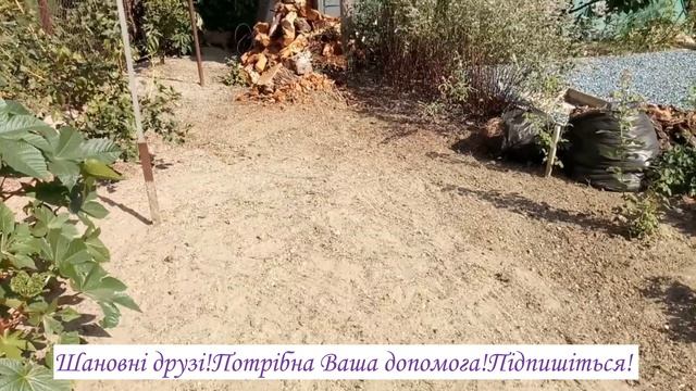 20. 07. 2023рПОЧИСТИЛА ДЛЯ ДРОВ.ЗАПЛАТИЛА ЗА ВОДИЧКУ.ЗАХОДЬТЕ.#влог# смотреть онлайн