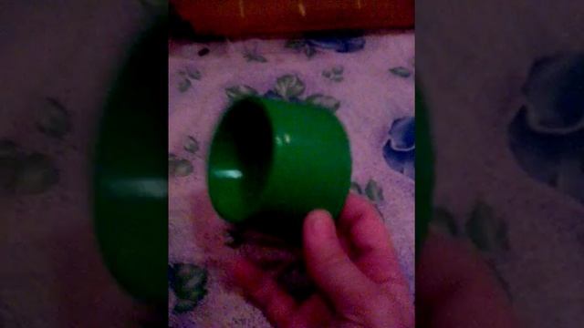 мой хомяк смотреть онлайн