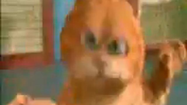 Что делает с котами колбаса!