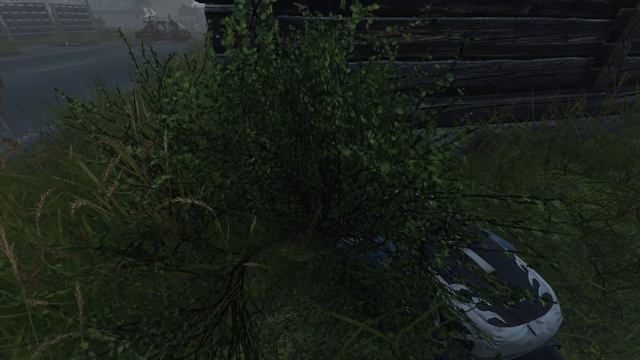 Почему я обычно не играю с двушкой в DayZ смотреть онлайн