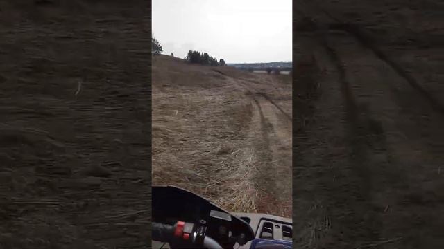 Китайский квадроцикл 200 кубов, просто покатушка смотреть онлайн