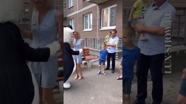 Оригинальное поздравление от мишки Зефира на День Рождения смотреть онлайн