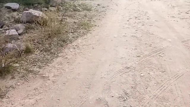 Спойлер на следующее видео!!!! смотреть онлайн