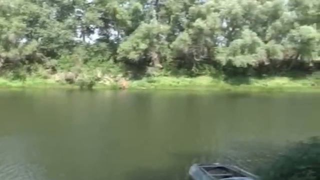 Астраханская область.Снежный человек. смотреть онлайн