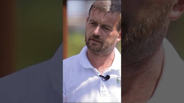 Урожайные сорта земляники садовой (клубники). Как вырастить крупные ягоды клубники. смотреть онлайн