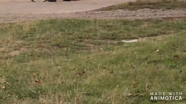 Вите надо выйти смотреть онлайн