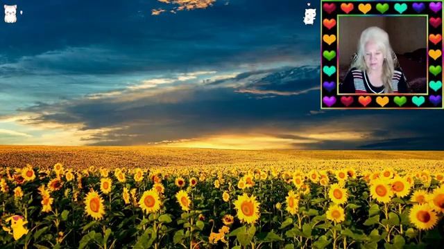 Как набрать подписчиков на Ютуб  S'broadcast