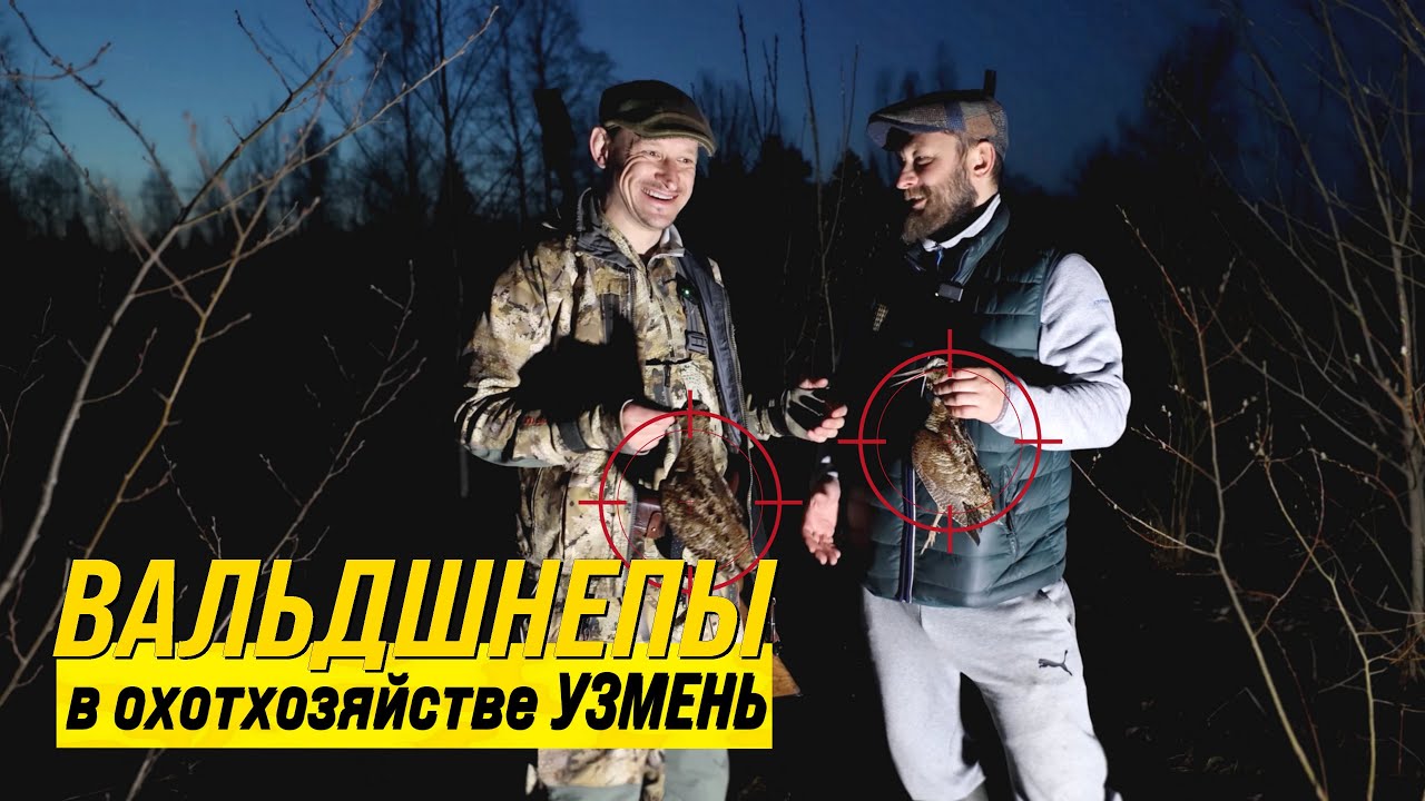 ОХОТХОЗЯЙСТВО УЗМЕНЬ: Вальдшнеп на тяге - выстрел! Добыли вальдшнепов на охоте смотреть онлайн