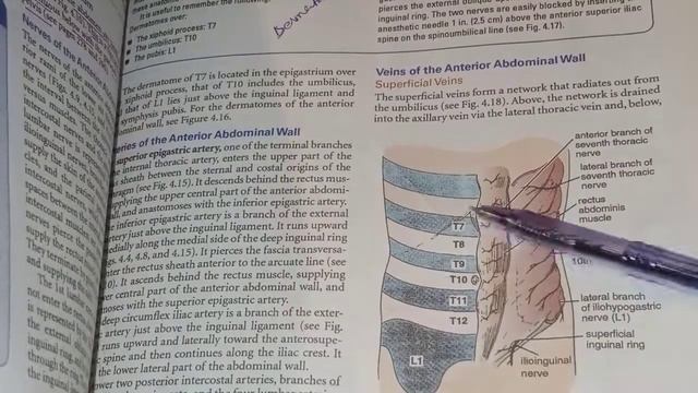 Snell Clinical Anatomy By Regions Chapter 4 The Abdomen (Lecture 1)
