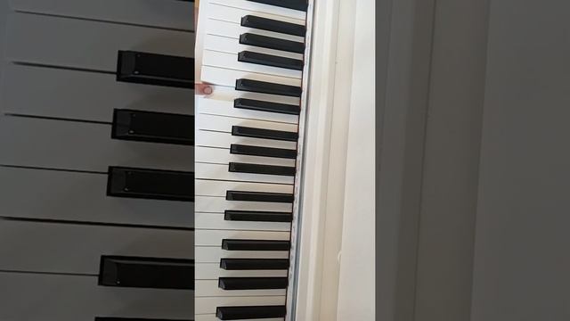 Музыкашки. Уроки музыки для малышей. смотреть онлайн