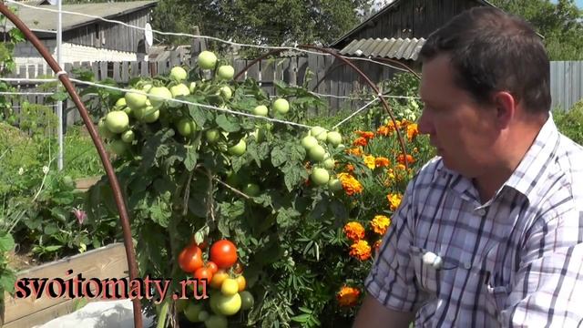 Красная шапочка смотреть онлайн