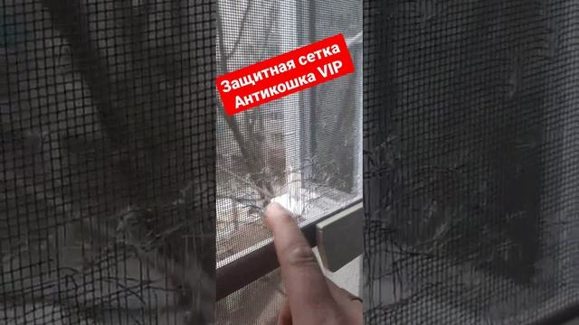 Защитная москитная сетка от выпадения из окон кошек. #антикоготь #краснодар #антикошка #коты #кошки смотреть онлайн