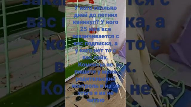 23 мая 2022 г. смотреть онлайн