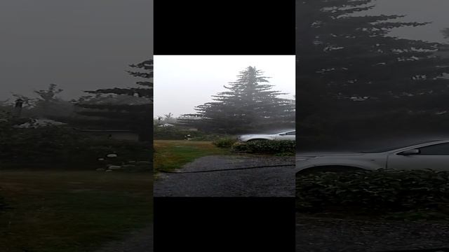 49 Гроза (2) смотреть онлайн