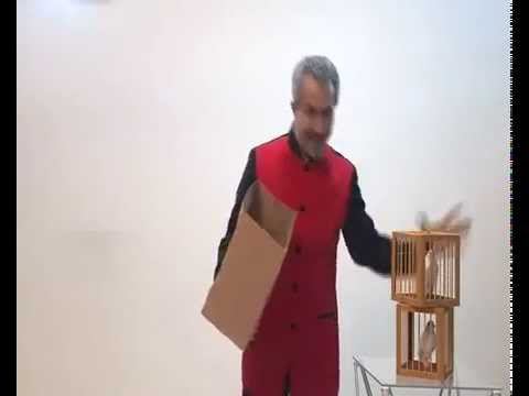 Appearing Three Dove Cages from Empty Paper Bag смотреть онлайн