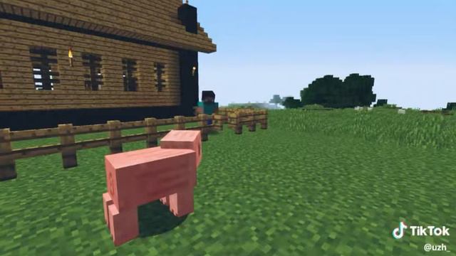 волшебное животное: говорящая свинья!! смотреть онлайн