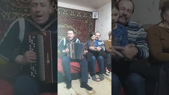 Песни  под баян.