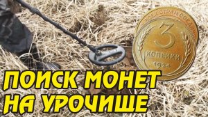 Кладоискатель . Старинный Хутор .Поиск монет