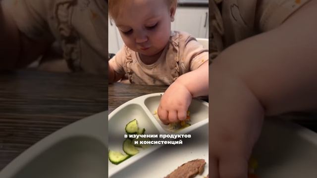 3 простые правила детского питания смотреть онлайн