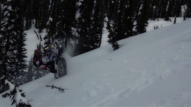 York still fly смотреть онлайн