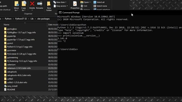 Installing, Removing Selenium Using the Command Prompt ~ The Easier Way ~ De-Code смотреть онлайн