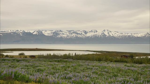 Мантра Любви. Jai Radha Madhav. смотреть онлайн