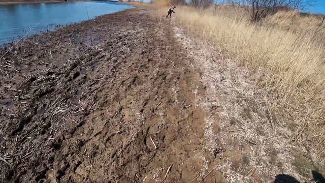 Откуда тут столько рыбы? Крупные судаки на малой реке смотреть онлайн