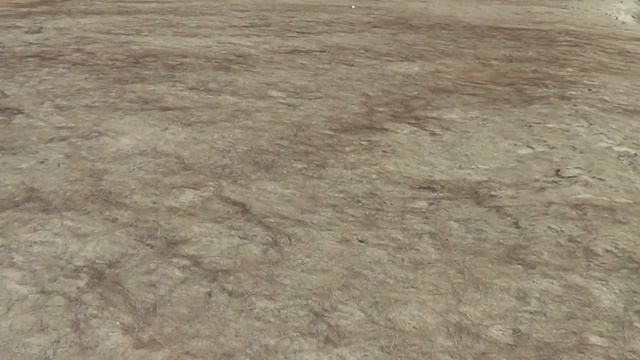 А мы на Хортице! смотреть онлайн