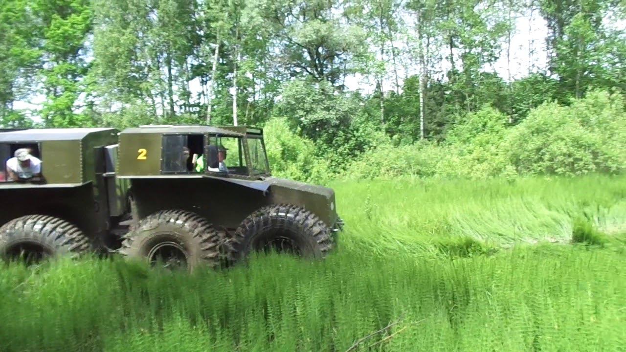 Болото и Тром 8 смотреть онлайн