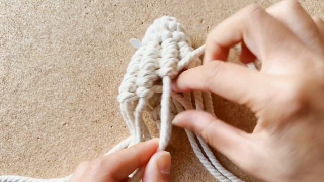 DIY Macrame Seashell | Macrame Shellfish