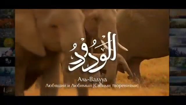 Xadidja Magomedova - Asma-ul-Husna (99 Names Of Al(720P_HD) Allohning Go‘zal Ismlari