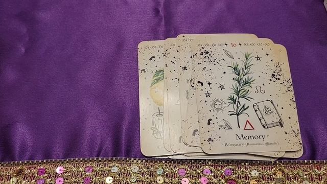 ?GREEN WITCH Oracle ? Deck 4K HD Flip Through #tarot #oracle #unboxing #4k смотреть онлайн