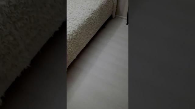 Купил Kitfort-KT-533, все довольны смотреть онлайн