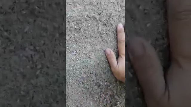 Утепление дома эковатой влажным способом смотреть онлайн