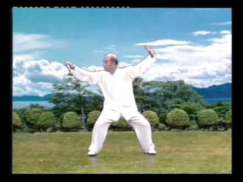 Тайцзи-Бань №1 Яншен, 8 форм /Taiji—Bang №1 Yangsheng performed by the creator Prof Zhang Guangde. смотреть онлайн