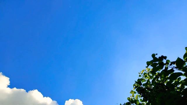 Полёт голубей 2021 года (через 2 минуты после старта,ещё через 2 минуты-полное покрытие на 4 часа). смотреть онлайн