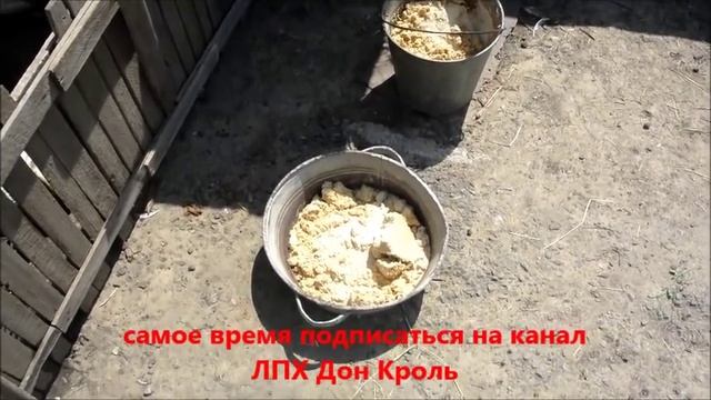 УТКИ БАШКИРСКОЙ ПОРОДЫ смотреть онлайн