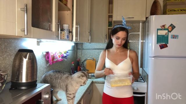 Сырники готовить весело ❤️ с котиком ? смотреть онлайн